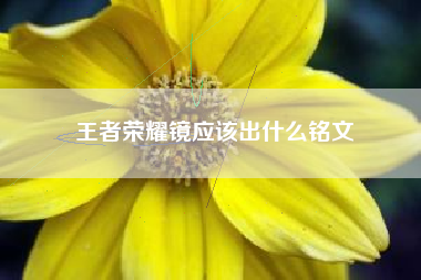 王者荣耀镜应该出什么铭文
