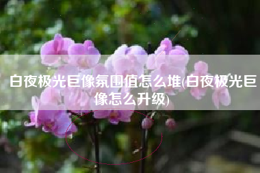 白夜极光巨像氛围值怎么堆(白夜极光巨像怎么升级)