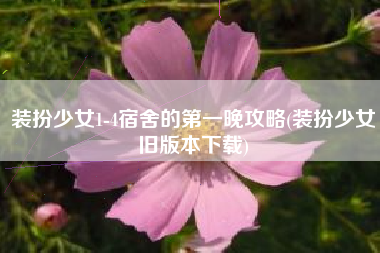 装扮少女1-4宿舍的第一晚攻略(装扮少女旧版本下载)
