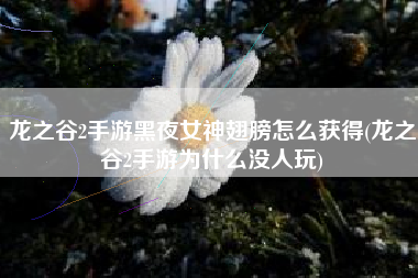 龙之谷2手游黑夜女神翅膀怎么获得(龙之谷2手游为什么没人玩)