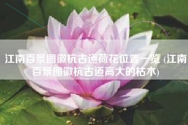 江南百景图徽杭古道荷花位置一览 (江南百景图徽杭古道高大的枯木)