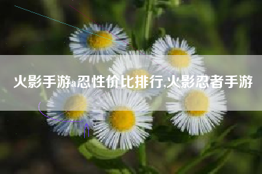 火影手游a忍性价比排行,火影忍者手游
