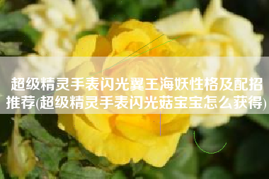 超级精灵手表闪光翼王海妖性格及配招推荐(超级精灵手表闪光菇宝宝怎么获得)
