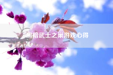 黑暗武士之巢游戏心得