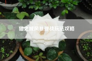 猫之城风暴挑战玩法攻略