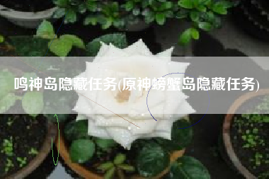 鸣神岛隐藏任务(原神螃蟹岛隐藏任务)