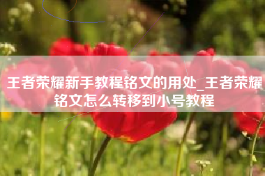 王者荣耀新手教程铭文的用处_王者荣耀铭文怎么转移到小号教程