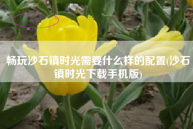 畅玩沙石镇时光需要什么样的配置(沙石镇时光下载手机版)
