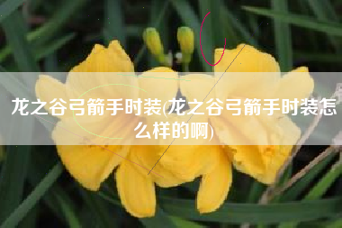 龙之谷弓箭手时装(龙之谷弓箭手时装怎么样的啊)