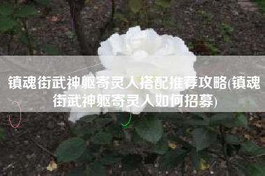 镇魂街武神躯寄灵人搭配推荐攻略(镇魂街武神躯寄灵人如何招募)