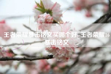 王者荣耀暴击铭文买哪个好_王者荣耀16暴击铭文