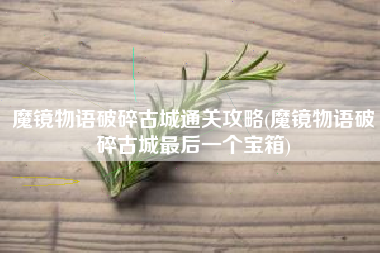 魔镜物语破碎古城通关攻略(魔镜物语破碎古城最后一个宝箱)