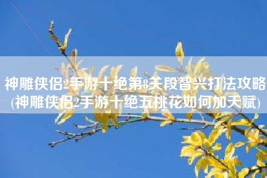 神雕侠侣2手游十绝第8关段智兴打法攻略(神雕侠侣2手游十绝五桃花如何加天赋)