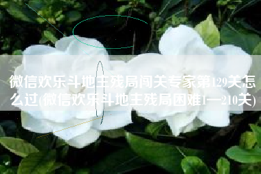 微信欢乐斗地主残局闯关专家第129关怎么过(微信欢乐斗地主残局困难1—210关)