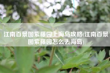 江南百景图紫藤园上海岛攻略(江南百景图紫藤园怎么去海岛)