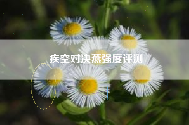 疾空对决燕强度评测