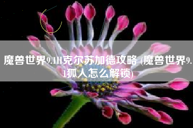 魔兽世界9.1H克尔苏加德攻略 (魔兽世界9.1狐人怎么解锁)