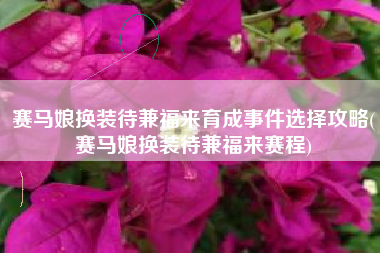 赛马娘换装待兼福来育成事件选择攻略(赛马娘换装待兼福来赛程)