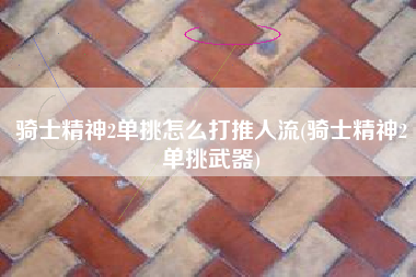 骑士精神2单挑怎么打推人流(骑士精神2单挑武器)