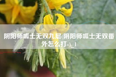 阴阳师呱士无双九层(阴阳师呱士无双番外怎么打-)_1