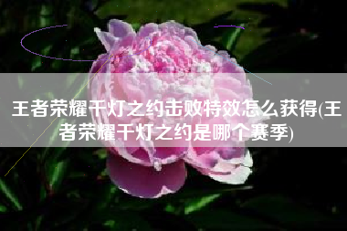 王者荣耀千灯之约击败特效怎么获得(王者荣耀千灯之约是哪个赛季)