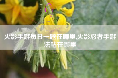火影手游每日一题在哪里,火影忍者手游法帖在哪里