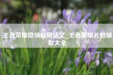 王者荣耀隐领取藏铭文_王者荣耀礼包领取大全