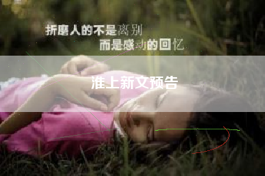淮上新文预告