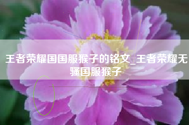 王者荣耀国国服猴子的铭文_王者荣耀无骚国服猴子
