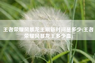 王者荣耀风暴龙王刷新时间是多少(王者荣耀风暴龙王多少血)
