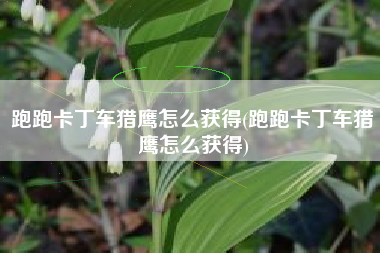 跑跑卡丁车猎鹰怎么获得(跑跑卡丁车猎鹰怎么获得)