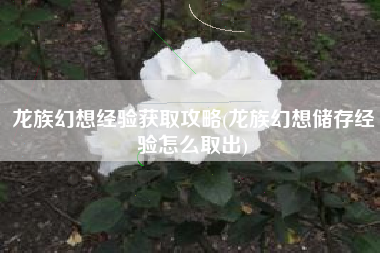 龙族幻想经验获取攻略(龙族幻想储存经验怎么取出)