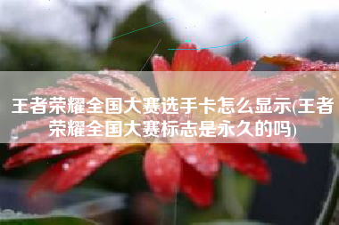 王者荣耀全国大赛选手卡怎么显示(王者荣耀全国大赛标志是永久的吗)