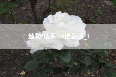 造物2法系SSR谁最强_1