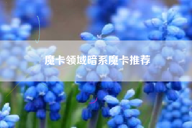 魔卡领域暗系魔卡推荐