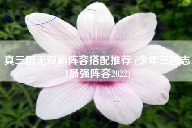 真三国无双霸阵容搭配推荐 (少年三国志1最强阵容2022)