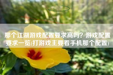 那个江湖游戏配置要求高吗？游戏配置要求一览(打游戏主要看手机那个配置)