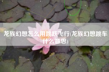 龙族幻想怎么用跳跃飞行(龙族幻想跳车什么意思)