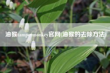 油猴tampermonkey官网(油猴的去除方法)