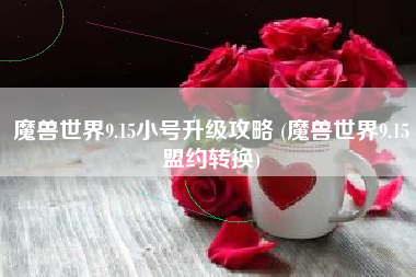 魔兽世界9.15小号升级攻略 (魔兽世界9.15盟约转换)
