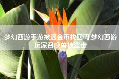 梦幻西游手游被盗金币找回吗,梦幻西游玩家召唤兽被盗走