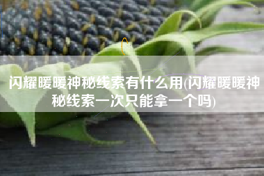 闪耀暖暖神秘线索有什么用(闪耀暖暖神秘线索一次只能拿一个吗)