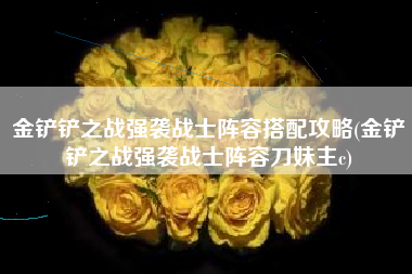 金铲铲之战强袭战士阵容搭配攻略(金铲铲之战强袭战士阵容刀妹主c)
