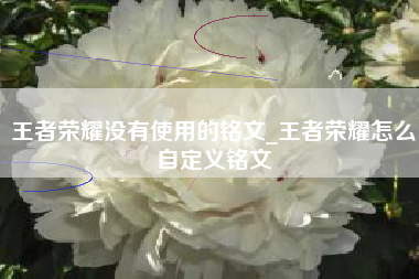 王者荣耀没有使用的铭文_王者荣耀怎么自定义铭文