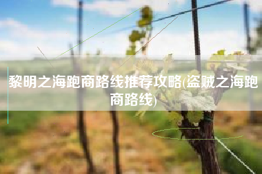 黎明之海跑商路线推荐攻略(盗贼之海跑商路线)