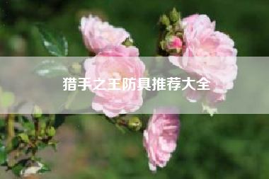 猎手之王防具推荐大全