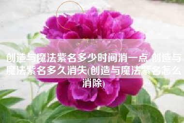 创造与魔法紫名多少时间消一点 创造与魔法紫名多久消失(创造与魔法紫名怎么消除)