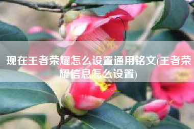 现在王者荣耀怎么设置通用铭文(王者荣耀信息怎么设置)