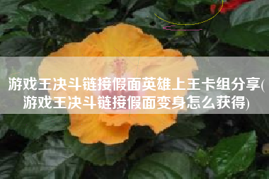 游戏王决斗链接假面英雄上王卡组分享(游戏王决斗链接假面变身怎么获得)