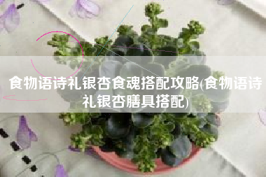 食物语诗礼银杏食魂搭配攻略(食物语诗礼银杏膳具搭配)